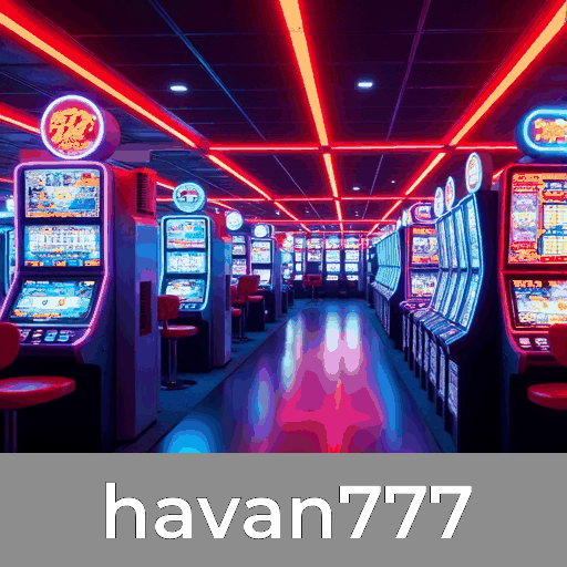 Havan777: Plataforma Segura e Profissional